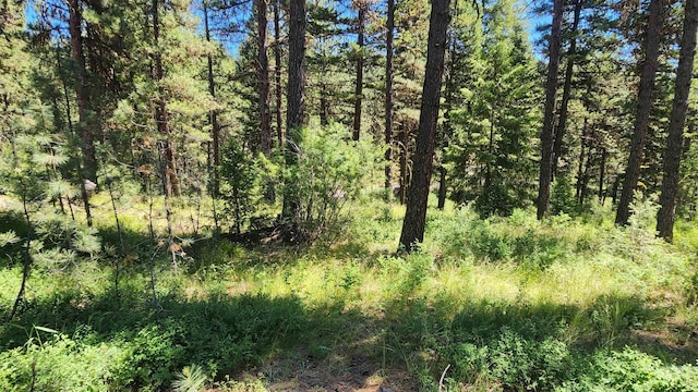 3947 Yampa Ct, New Meadows, ID 83654