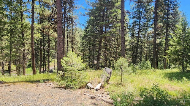 3947 Yampa Ct, New Meadows, ID 83654