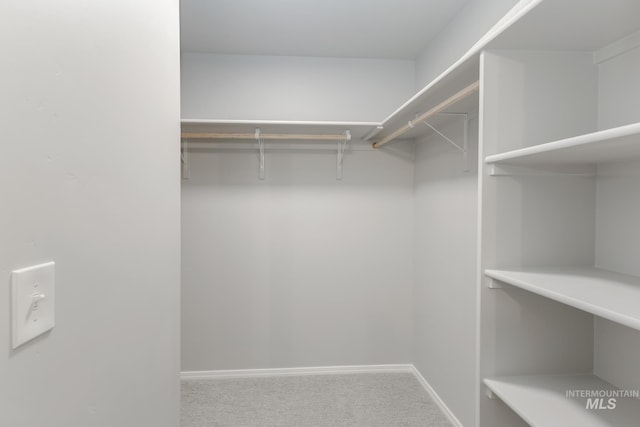 4344 N Magical Creek Ave, Meridian, ID 83646 - spacious closet with carpet flooring