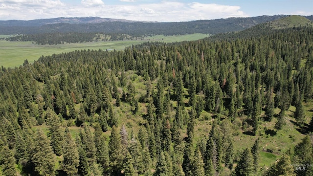 property view of mountains