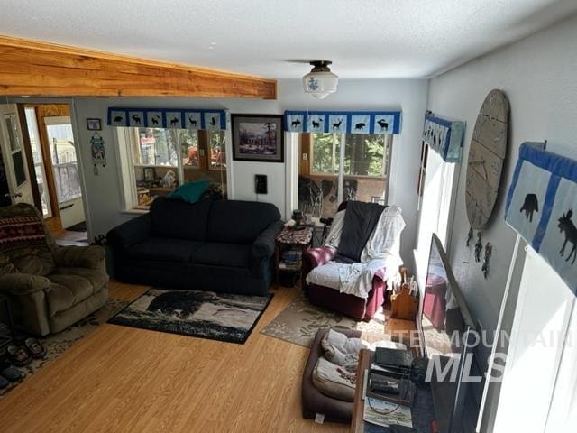 living room featuring hardwood / wood-style flooring and a textured ceiling