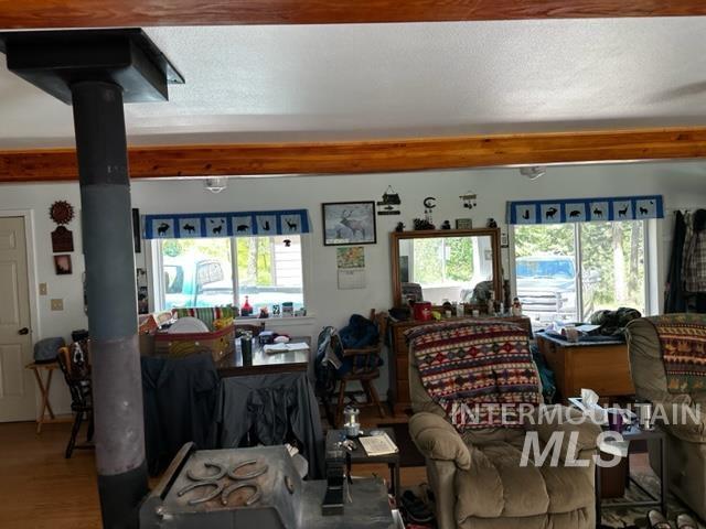 living room with hardwood / wood-style flooring, a wood stove, and a wealth of natural light