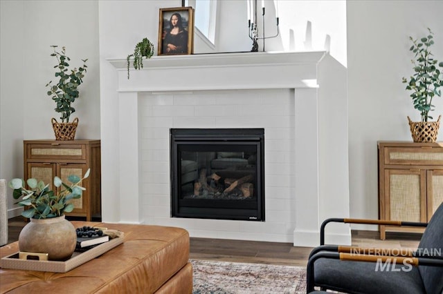 living room featuring a fireplace and wood finished floors