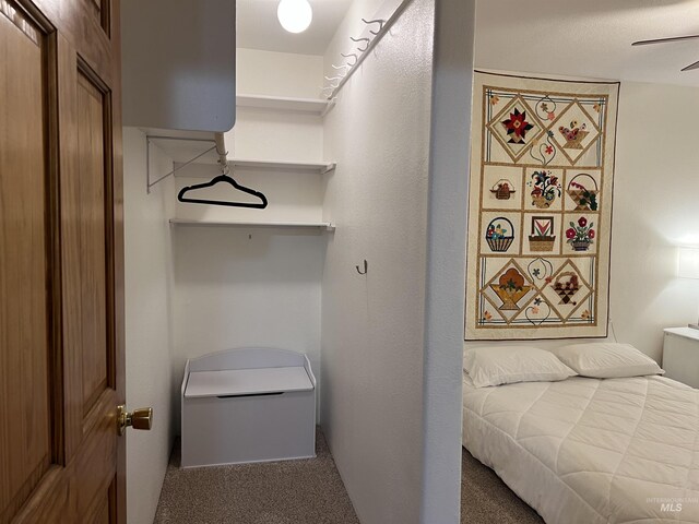 140 3rd St, Grand View, ID 83624 - interior space with a ceiling fan