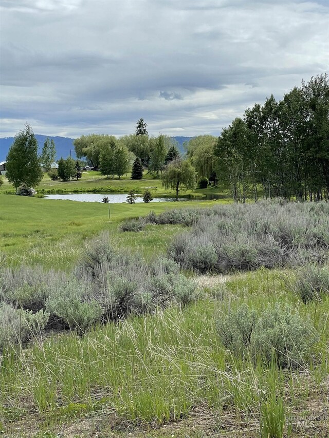 13967 Ramos Ct, Mccall, ID 83638