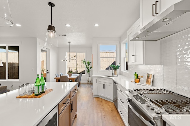 2365 E Valensole St, Meridian, ID 83642 - kitchen with extractor fan, stainless steel appliances, recessed lighting, a sink, and light wood-type flooring