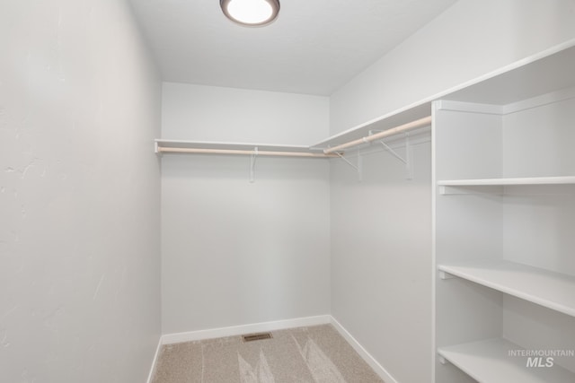 spacious closet with light carpet