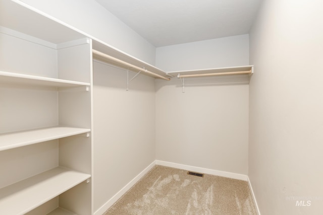 spacious closet with light colored carpet