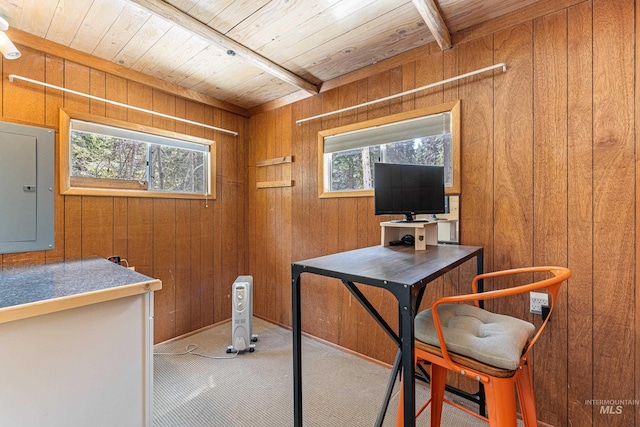 995 Cedar Crest Dr, Mccall, ID 83638 - office area with electric panel, carpet, wooden ceiling, and wooden walls