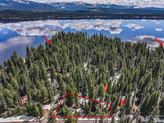 995 Cedar Crest Dr, Mccall, ID 83638 - bird's eye view featuring a wooded view and a water and mountain view
