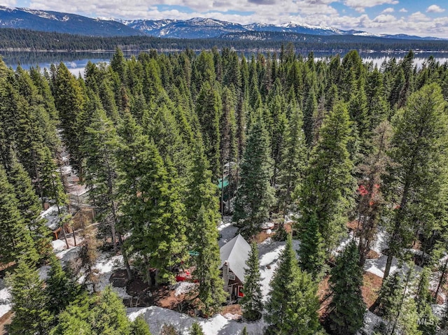 995 Cedar Crest Dr, Mccall, ID 83638 - aerial view with a water and mountain view and a view of trees
