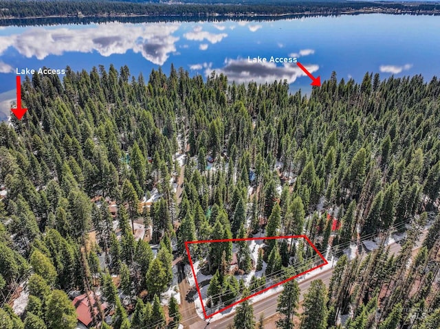 995 Cedar Crest Dr, Mccall, ID 83638 - aerial view with a water view and a view of trees
