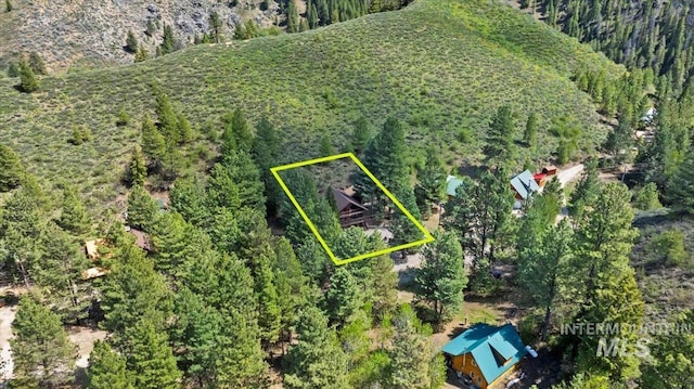 1010 N Hidden Pine Rd, Pine, ID 83647 - aerial view of property and surrounding area with property parcel outlined and a heavily wooded area
