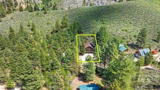 1010 N Hidden Pine Rd, Pine, ID 83647 - aerial view of property and surrounding area with property boundaries highlighted