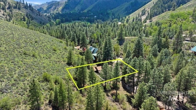 1010 N Hidden Pine Rd, Pine, ID 83647 - aerial overview of property's location with a forest, a mountainous background, and property parcel outlined