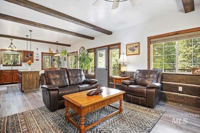 1010 N Hidden Pine Rd, Pine, ID 83647 - living room with beamed ceiling, plenty of natural light, light wood-style floors, and ceiling fan