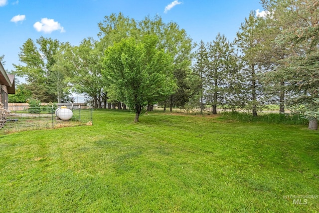 4 N 100 W, Fairfield, ID 83327 - view of yard