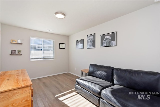 living room featuring hardwood / wood-style floors