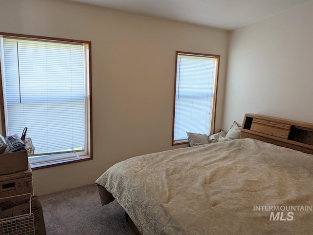 3075 Galey St, Weiser, ID 83672 - bedroom with carpet flooring