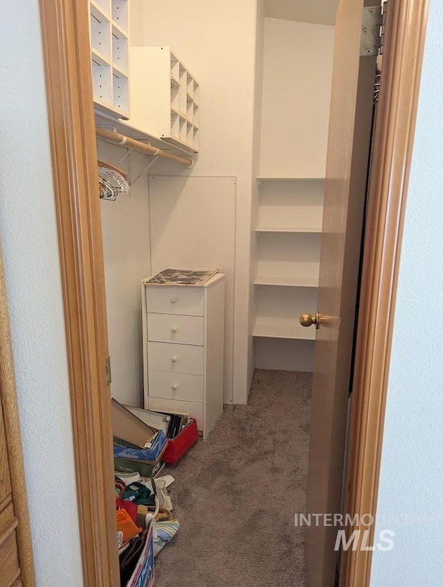 3075 Galey St, Weiser, ID 83672 - walk in closet featuring carpet
