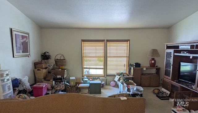 3075 Galey St, Weiser, ID 83672 - view of carpeted bedroom