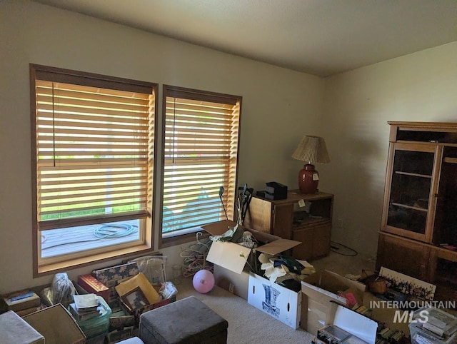 3075 Galey St, Weiser, ID 83672 - view of carpeted living room