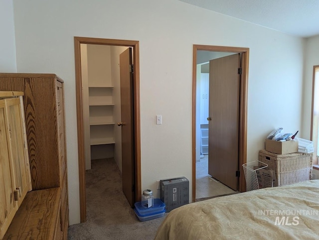 3075 Galey St, Weiser, ID 83672 - bedroom featuring a spacious closet, a closet, carpet flooring, and vaulted ceiling
