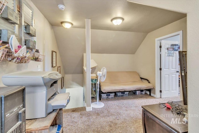 3976 Ranch Ln, Emmett, ID 83617 - bedroom featuring carpet floors and lofted ceiling