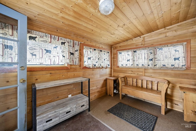 104 Poverty Ln, West Magic, ID 83352 - living area with lofted ceiling, a sauna / steam room, wooden ceiling, and wooden walls