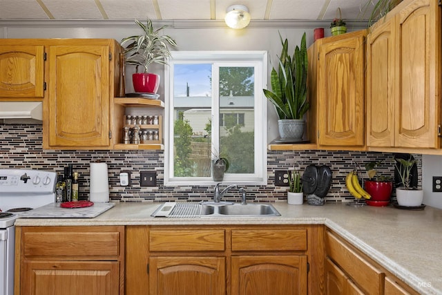 104 Poverty Ln, West Magic, ID 83352 - kitchen featuring electric range, tasteful backsplash, exhaust hood, and light countertops