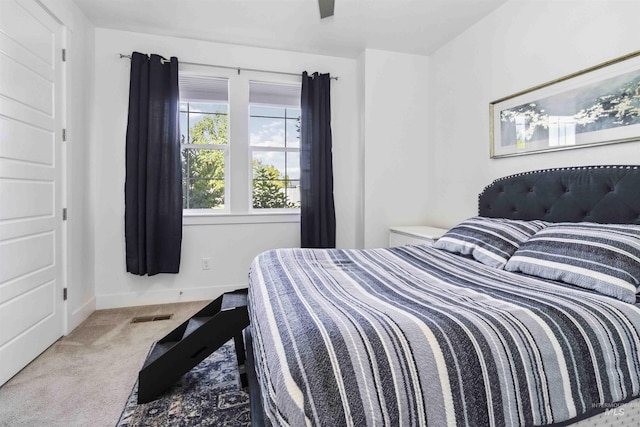 5916 S Wayland Way, Meridian, ID 83642 - bedroom with carpet and baseboards