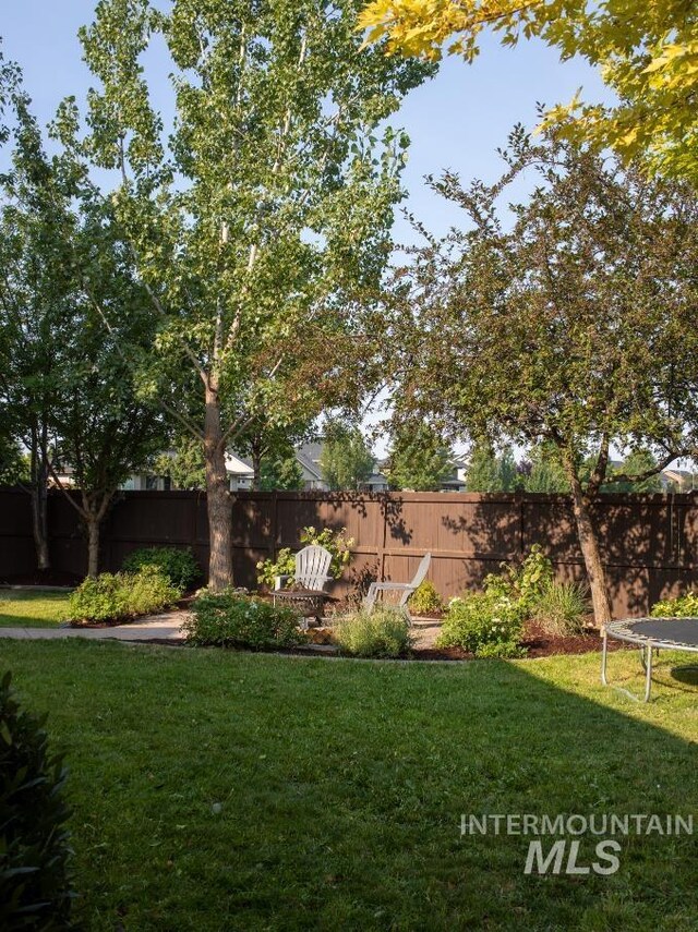 view of yard with a trampoline