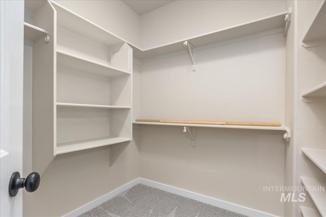 4975 N Morninggale Way, Boise, ID 83713 - spacious closet with carpet flooring