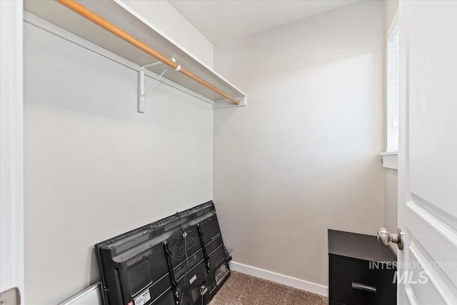 spacious closet with carpet