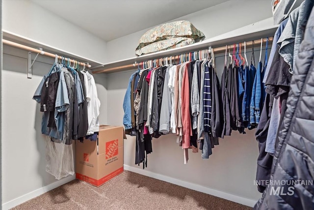 walk in closet featuring carpet floors