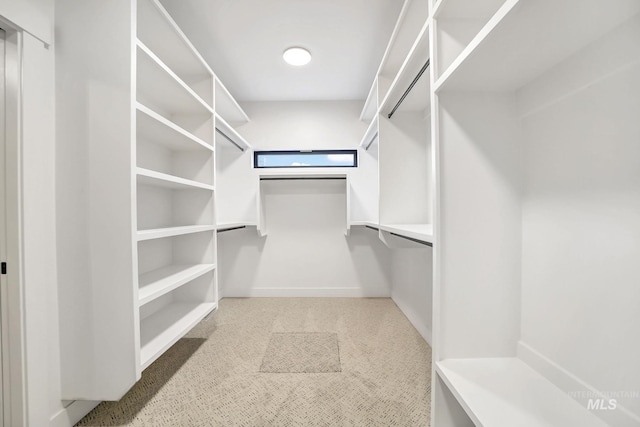1580 Clear Creek Loop, Twin Falls, ID 83301 - walk in closet featuring carpet flooring
