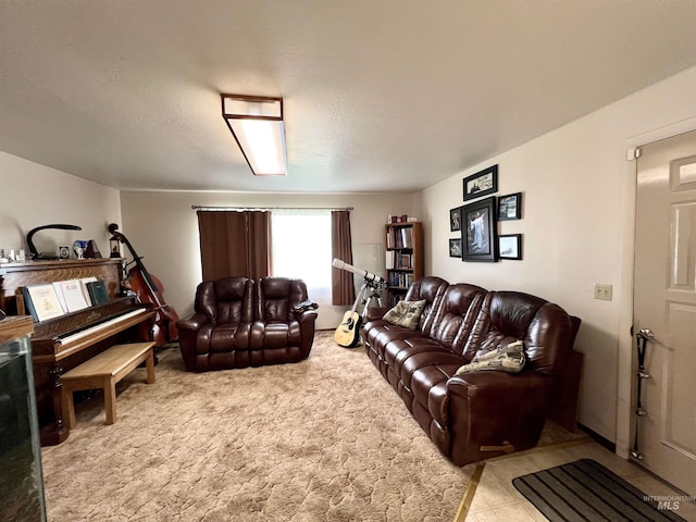 living area featuring carpet floors
