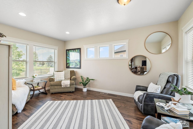 living area with dark hardwood / wood-style flooring