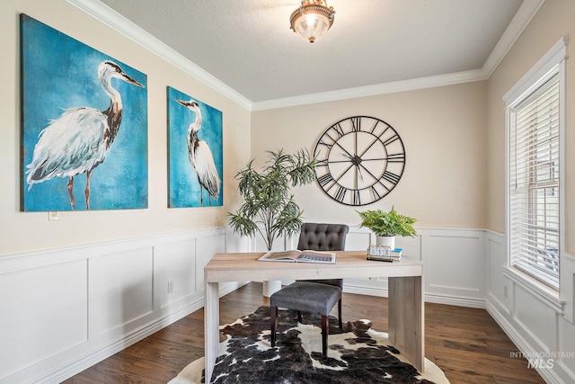 office area featuring ornamental molding, dark hardwood / wood-style flooring, and a textured ceiling