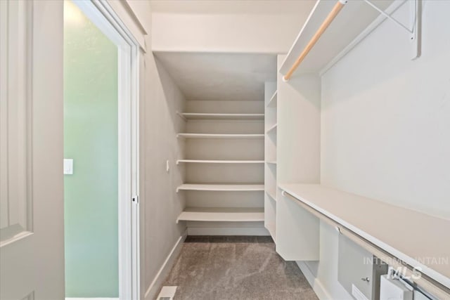 11871 W Wilmont St, Boise, ID 83709 - walk in closet featuring carpet floors