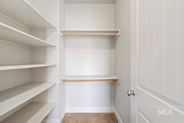 11871 W Wilmont St, Boise, ID 83709 - walk in closet with carpet