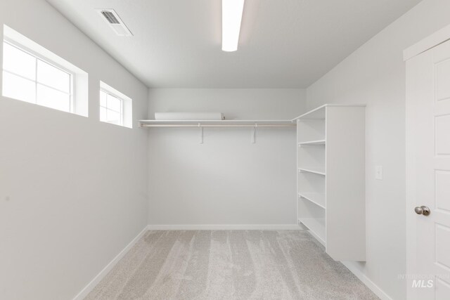 5375 S Memory Pl, Meridian, ID 83642 - spacious closet featuring light colored carpet