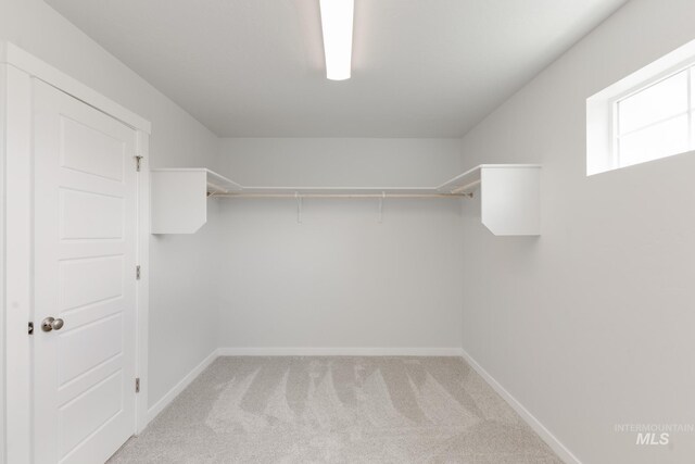 5375 S Memory Pl, Meridian, ID 83642 - walk in closet featuring light carpet