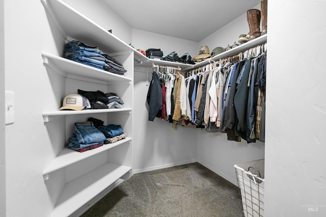 spacious closet featuring carpet