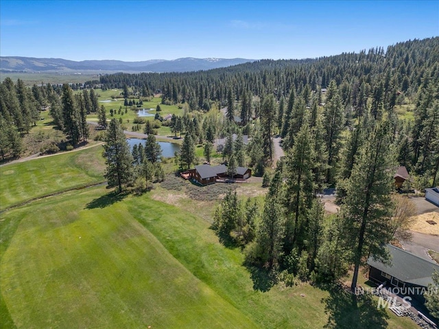 L4 Ponderosa Ct, New Meadows, ID 83654