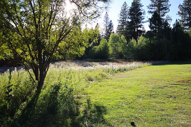 L4 Ponderosa Ct, New Meadows, ID 83654