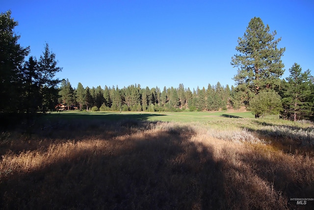 L4 Ponderosa Ct, New Meadows, ID 83654
