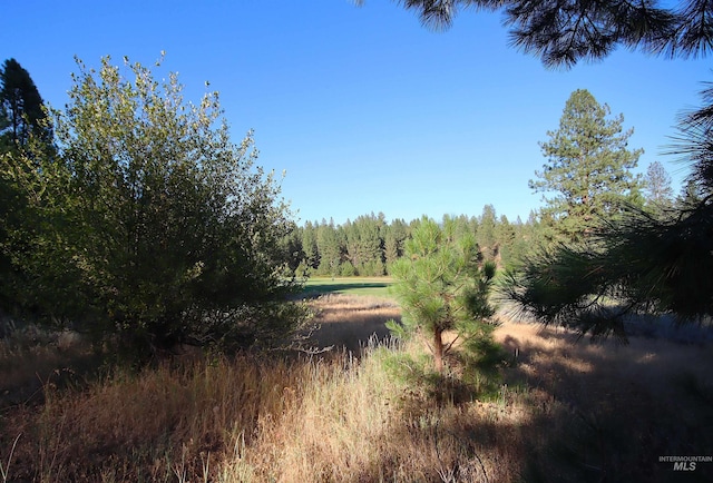 L4 Ponderosa Ct, New Meadows, ID 83654
