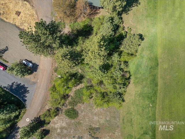 L4 Ponderosa Ct, New Meadows, ID 83654