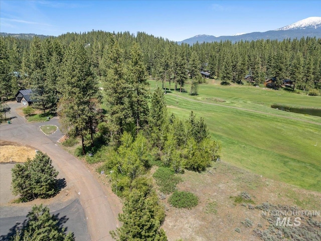 L4 Ponderosa Ct, New Meadows, ID 83654